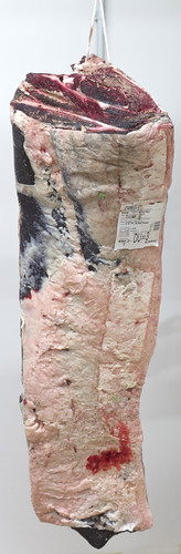 Déhanché en muscle de boeuf limousin 