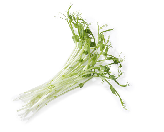 Germe de pois vert  France