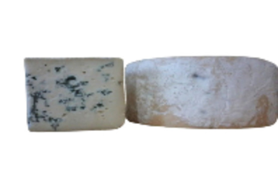 Bleu de chèvre au lait pasteurisé 25% m.g. 