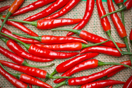 Piment doux des Landes catégorie 1 France