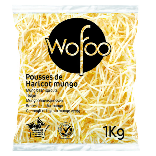 Pousse haricot mungo sachet 1kg colis par 5