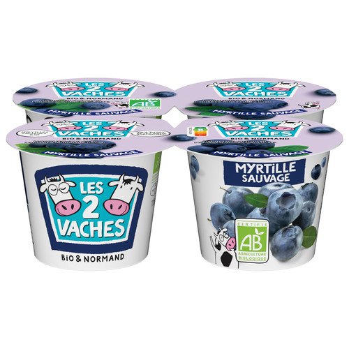 Yaourt fruits myrtille bio les 2 vaches 