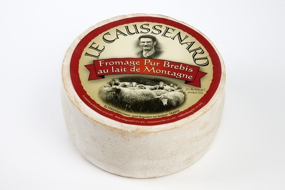 Pur brebis au lait thermisé bord droit 31% m.g.