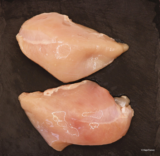 Filet de poulet cru iqf halal  