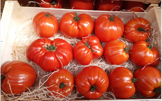 TOMATE COEUR DE BOEUF CATEGORIE 1 - ORIGINE FRANCE 