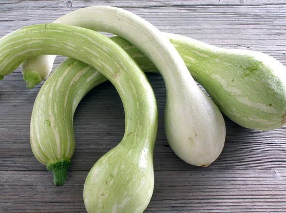 Courgette trompette de Nice catégorie 1 France