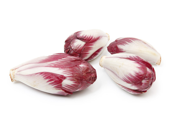 Endive carmine catégorie 1 France