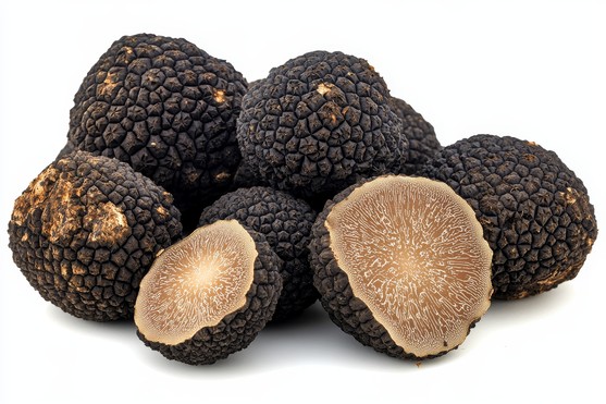 truffe chinoise tuber indicum catégorie 1 