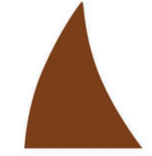 Décor aileron chocolat pur lait 