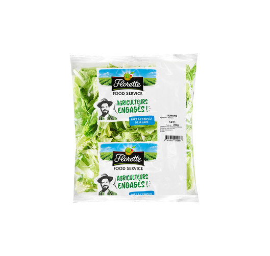 Romaine  