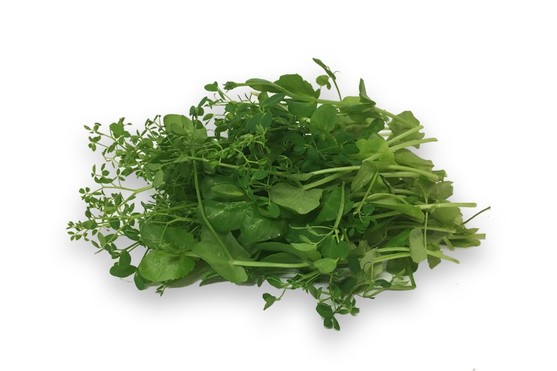 Salade pea  