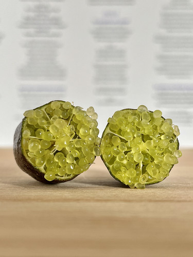 citron caviar jaune catégorie 1 