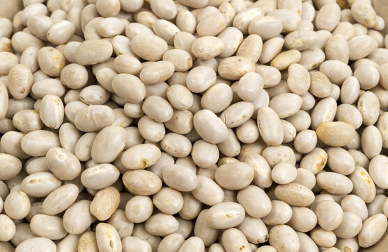 Haricot blanc coco bio  