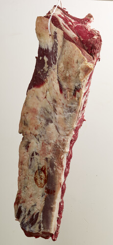 Coquille boeuf devertebre mature 60 jours selection fraçaise