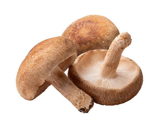 Champignon shiitake catégorie 1 France
