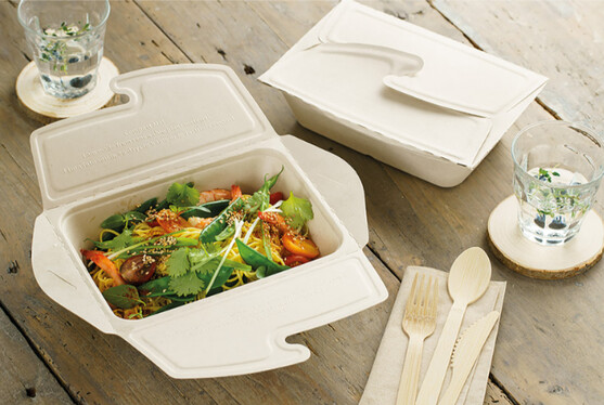Boite repas fibre kraft rectangle 21x15cm 