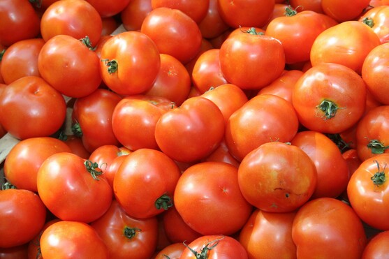 Tomate pour coulis catégorie 2 France