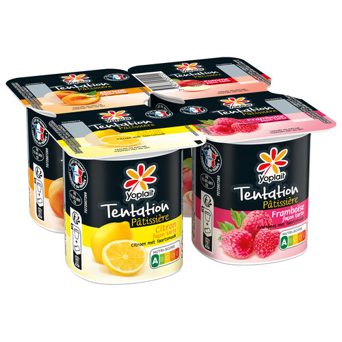 Yaourt tentation pâtissière abricot, citron, framboise et pomme façon tatin 0% m.g.