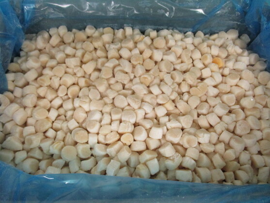 Noix de saint jacques sans corail msc - calibre 80/120 