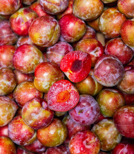 Prune rouge lovita 45/50 catégorie 1 France