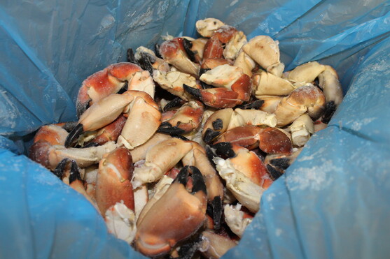 Pinces de tourteaux cuites 8/12 