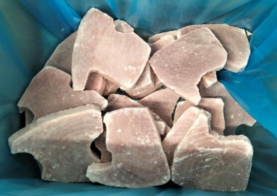 Steak de thon albacore  