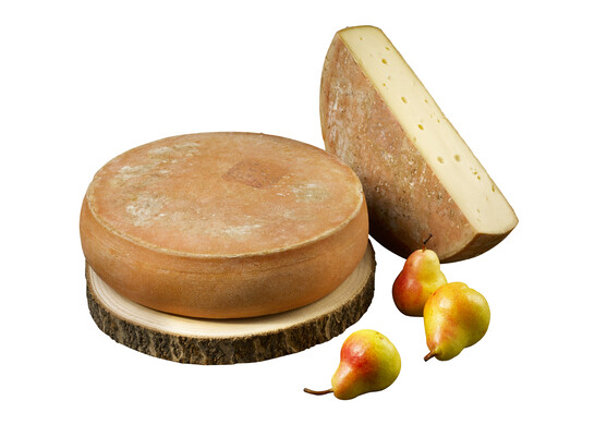 Grand duc de chartreuse  