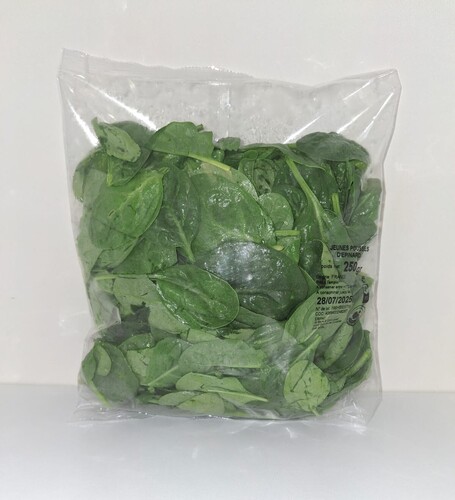 Epinard jeune pousse  France