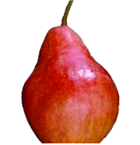 Poire Williams rouge 75/80 catégorie 1 France