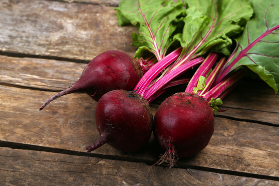 Betterave bio catégorie 2 France