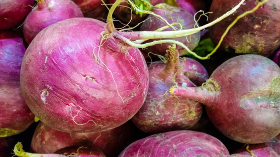 Rutabaga violet catégorie 1 France