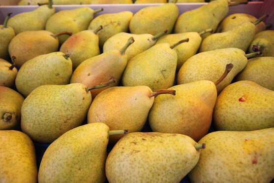 Poire alexandrine 65/70  bio catégorie 1 France