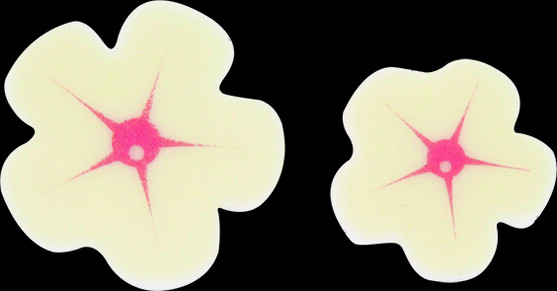 Décor chocolat blanc fleur blanc rose 2 tailles 