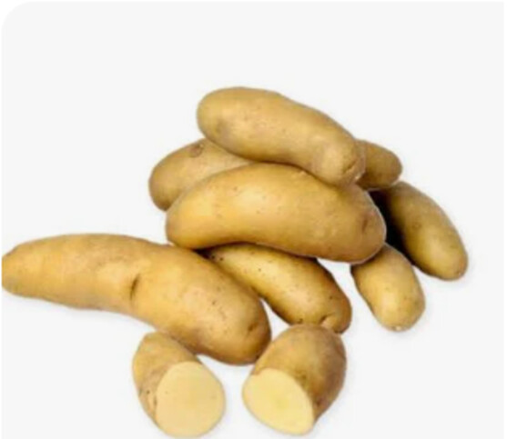 Pomme ratte touquet tourbée catégorie 1 France