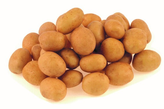 Pdt grenaille catégorie 1 France