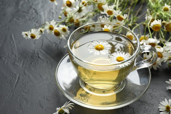 Fleur camomille  France