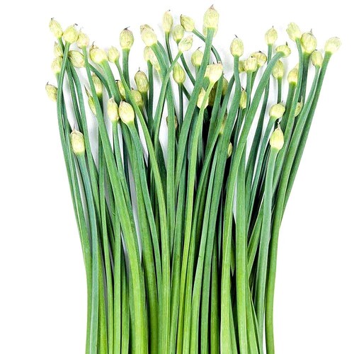 Ciboulette chinoise fleur catégorie 1