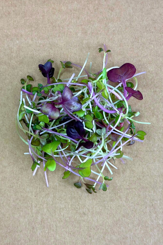 Micro pous.méli-mélo coupé catégorie 1 France