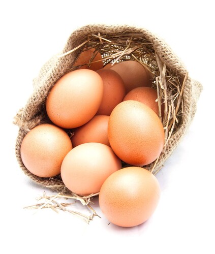 Oeuf frais en vrac plein air moyen 