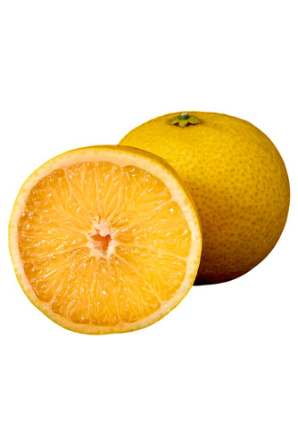 Tangelo wekiwa 4/5 catégorie 1