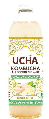 Kombucha gingembre energy bio