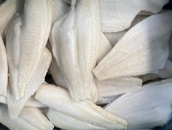 Filet de limande du nord sans peau noire msc 