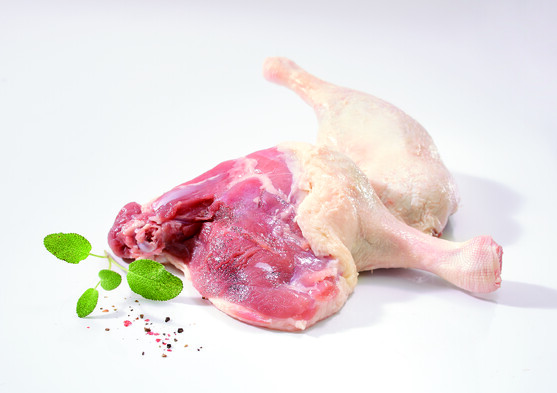 Cuisse canard