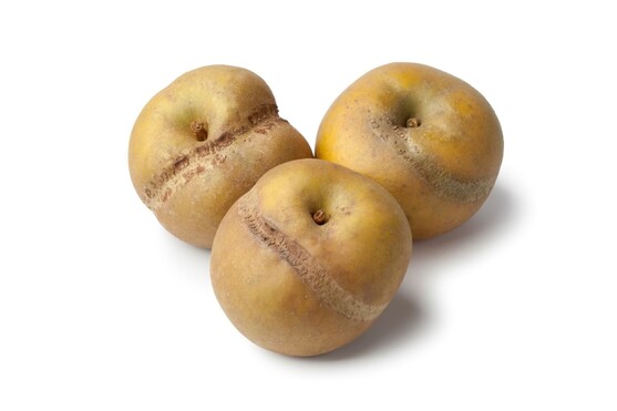 Pomme patte de loup 95/115 BIO catégorie 2 France