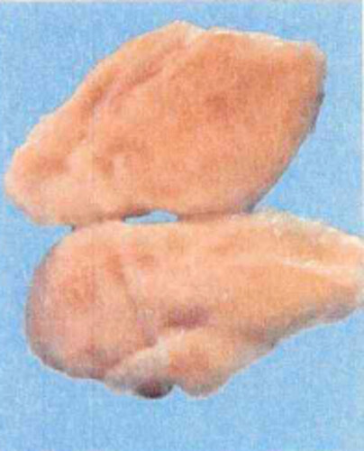 Poulet escalope iqf  