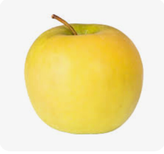 POMME INOGO 95/115 *BIO catégorie 2 France