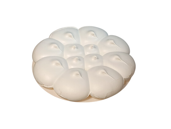 Meringue moelleuse pavlova  