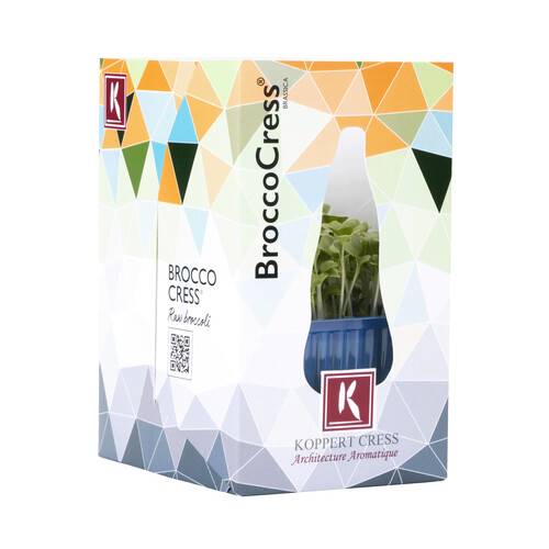 Brocco cress