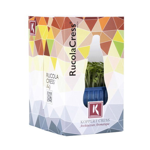 Rucola cress
