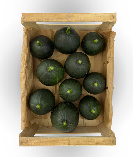 Courgette rode verte catégorie 1 France